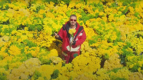 J Balvin - Lo Que Dios Quiera